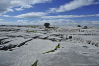 Geology