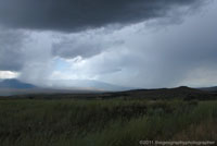 Weather
