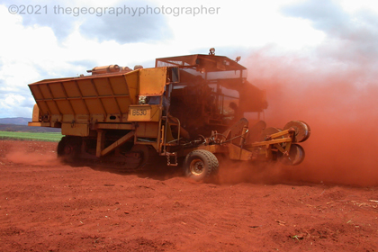 agriculture