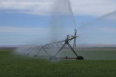 irrigation