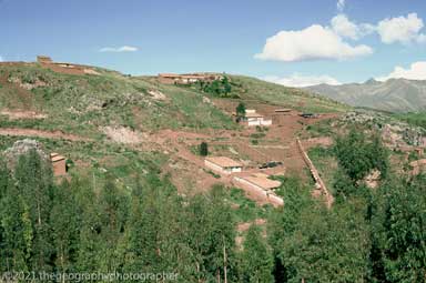 subsistence farming
