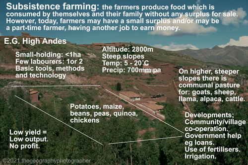 subsistence farming