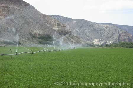 irrigation
