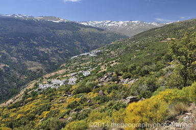 mediterranean biome