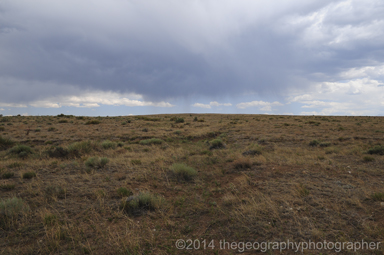 temperate grasslands