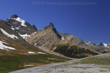 alpine tundra