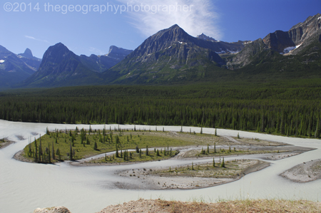 boreal forest