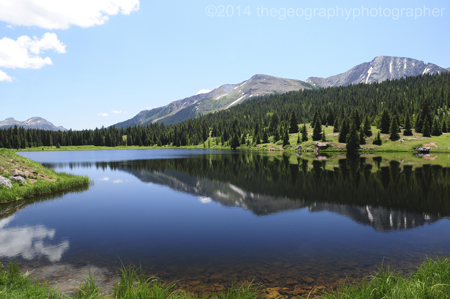 boreal forest