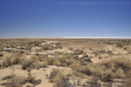 desert