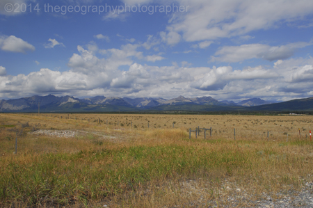 temperate grasslands