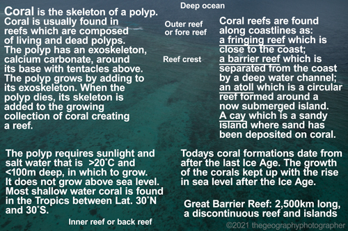 coral labels