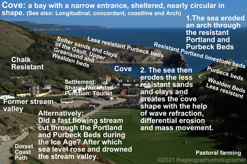 cove labels