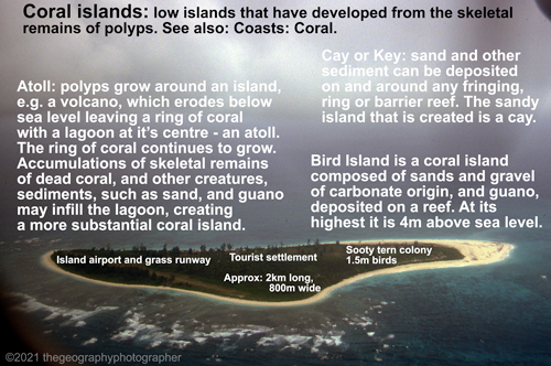 coral island