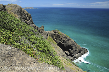 high energy coastline