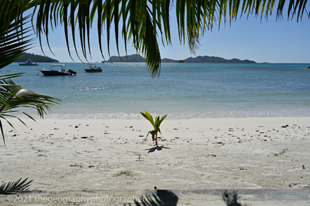 microntinental islands