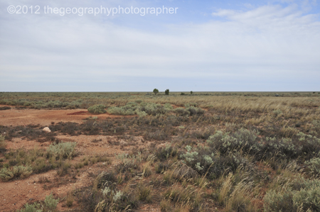 arid