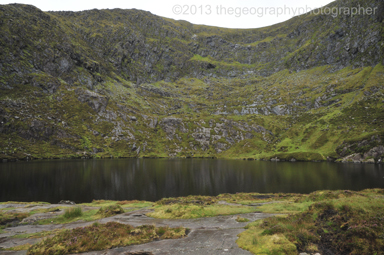 tarn