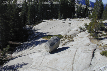 erratic