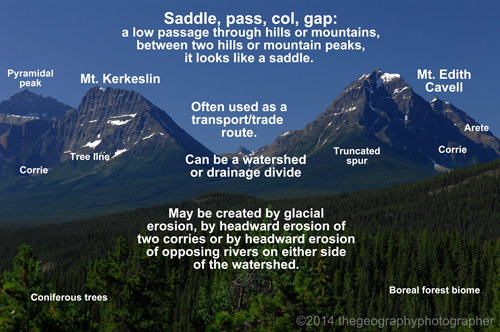 saddle