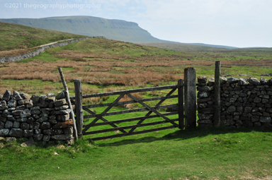 farm gate