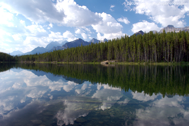reflection