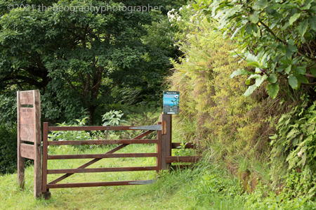 small gate