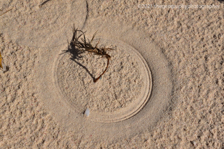 beach pattern