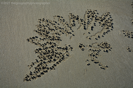 beach pattern