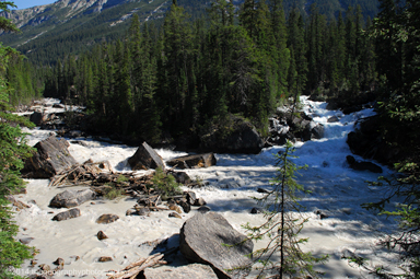 tributary