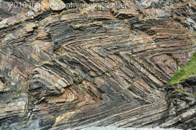 chevron fold