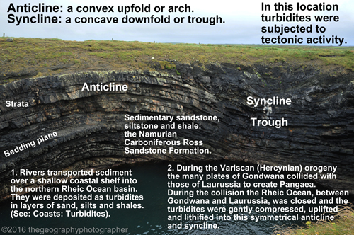 anticline