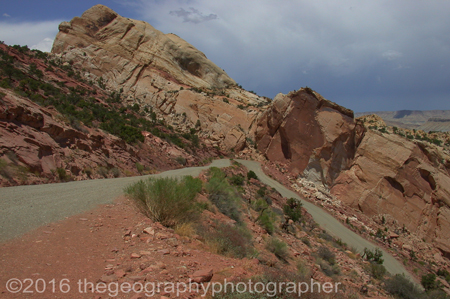 monocline