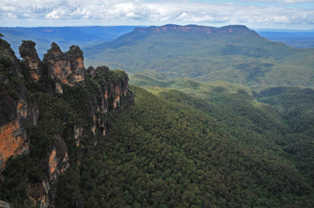 fold mountain