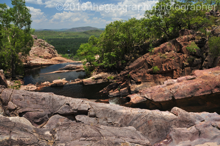 kakadu