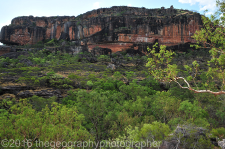 kakadu