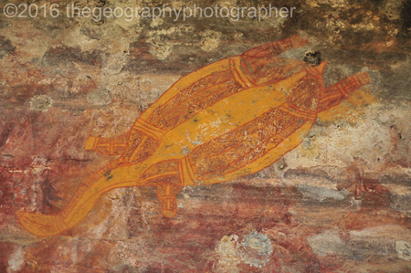 kakadu