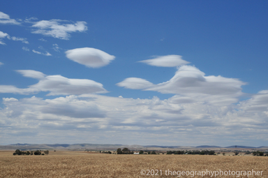 lenticular