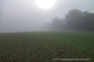 mis and fog