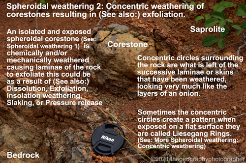 concentric
